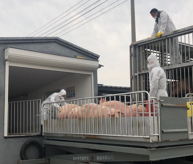 調整大小 微信圖片_20200303091211_WPS圖片.jpg 調整大小 微信圖片_20200303091211_WPS圖片.jpg