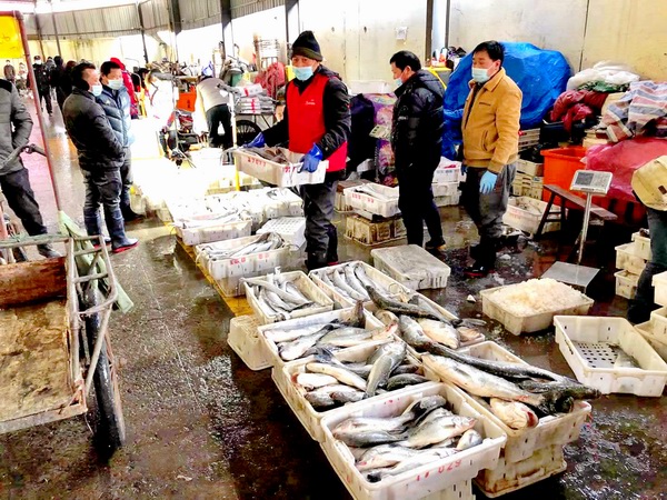 調整大小 水產集團確保貨源圖二市場貨源充足.jpg 調整大小 水產集團確保貨源圖二市場貨源充足.jpg